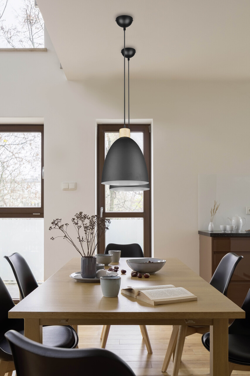 Lustra Jagger, RL, 25x150 cm, 40W, 1x E27, metal, negru mat - view 6