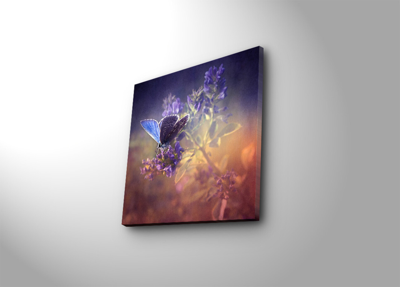 Tablou decorativ, 4545K-36, Dimensiune: 45 x 45 cm, Multicolor - view 2