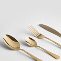 Set tacamuri pentru 6 persoane Gentry, Homla, 24 piese, inox, auriu