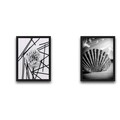 Set 2 tablouri decorative, Shell Dandelion Set, PAL, Hartie, Multicolor