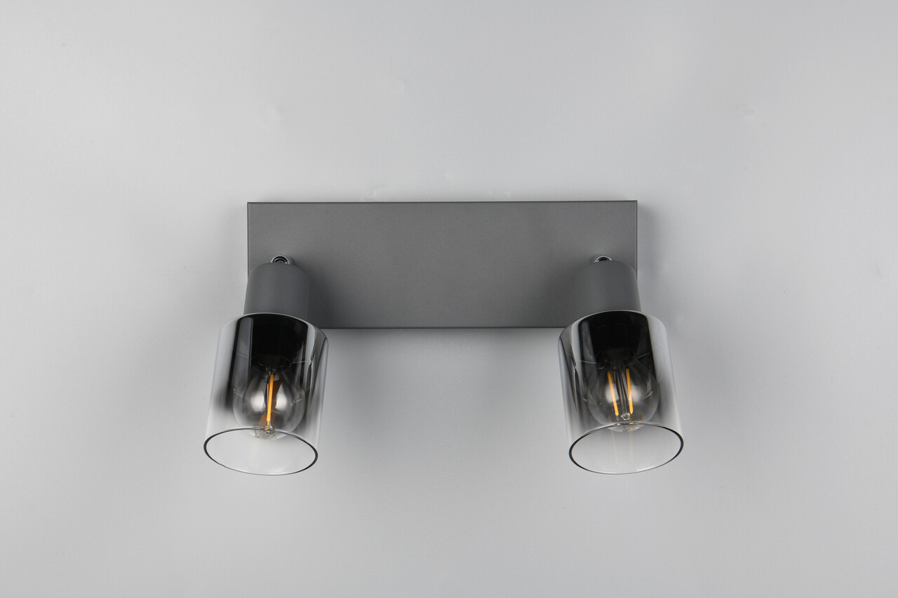 Plafoniera Cadiz, RL, 27.5x8.5x17 cm, 10W, 2x E14, metal, antracit