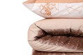 Cearceaf de pat cu elastic, 180x200 cm, 100% bumbac ranforce, Beverly Hills Polo Club, BHPC 031, roz somon