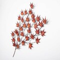 Decoratiune de perete, Acer Palmatum, Metal, Dimensiune: 85 x 115 x 4 cm, Multicolor
