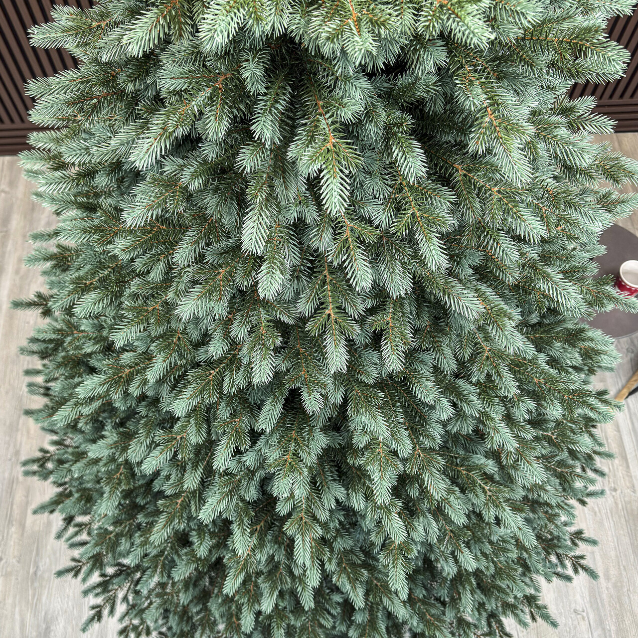 Brad artificial Christmas Deluxe by Sersimo, Alaska Select verde argintiu, integral 3D, 250 cm - view 5