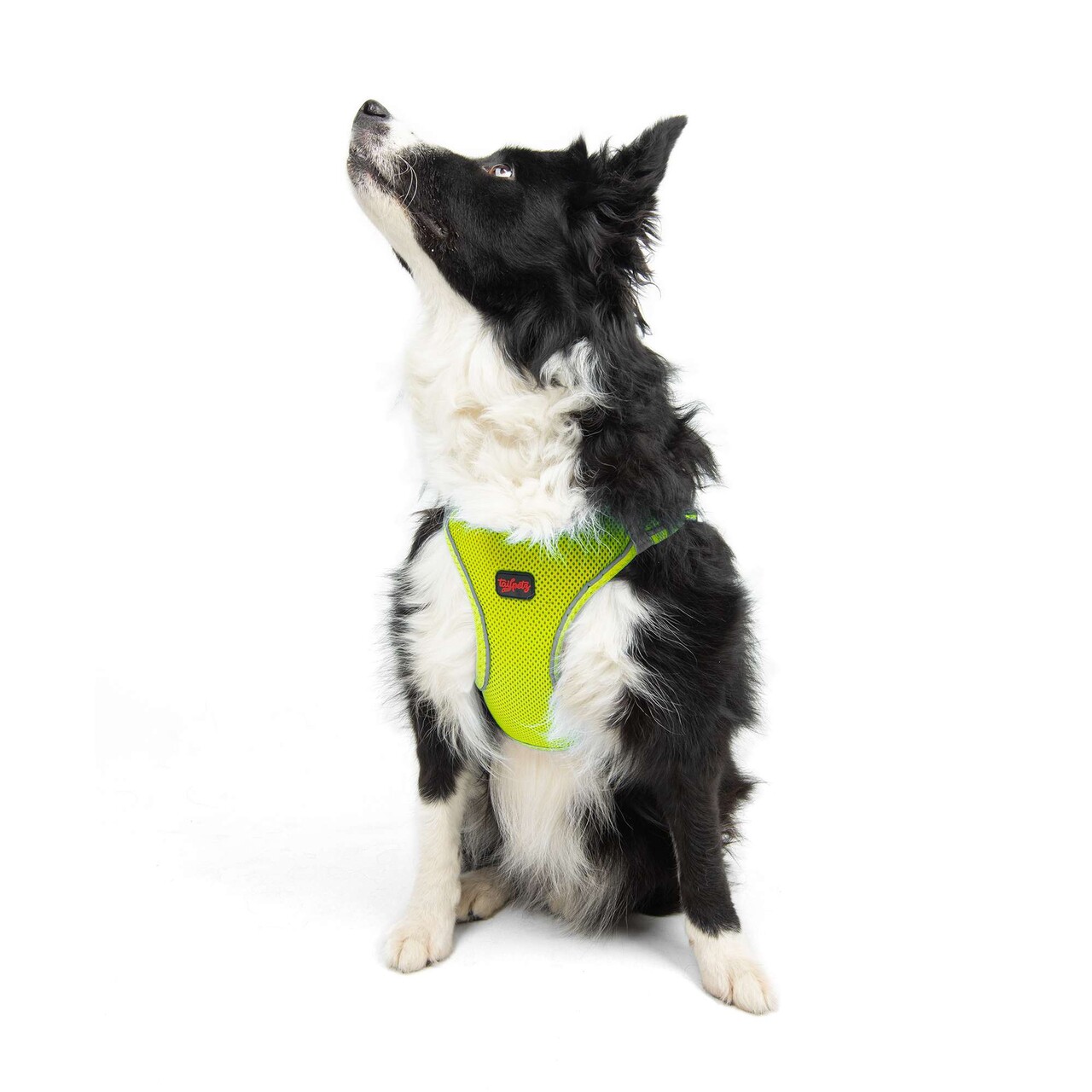 Ham pentru câini, Paws &amp; Whiskers, Air-Mesh, Poliester, Neo Lime - view 5