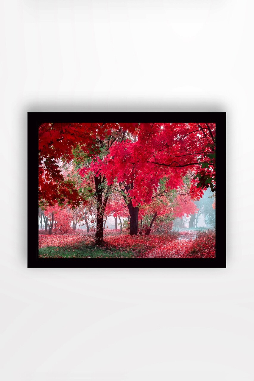 Tablou decorativ, SC0881, Cadru: 100% LEMN (grosime: 3 cm), Multicolor - view 2