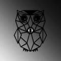 Aplica de perete, Shadow, 526SHD1172, Metal, Negru