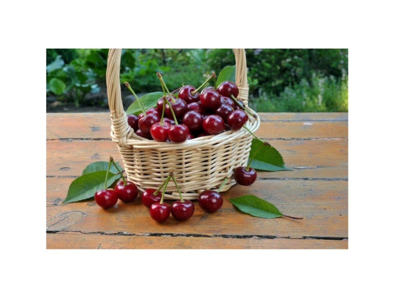 Rezerva odorizanta pentru camera Cherry, 250 ml, Spring Air