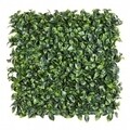 Panou verde artificial / gradina verticala artificiala Privet Green, Bizzotto, 50x50 cm