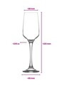 Set de pahare de șampanie, Hermia, 990LAV1240, Transparent