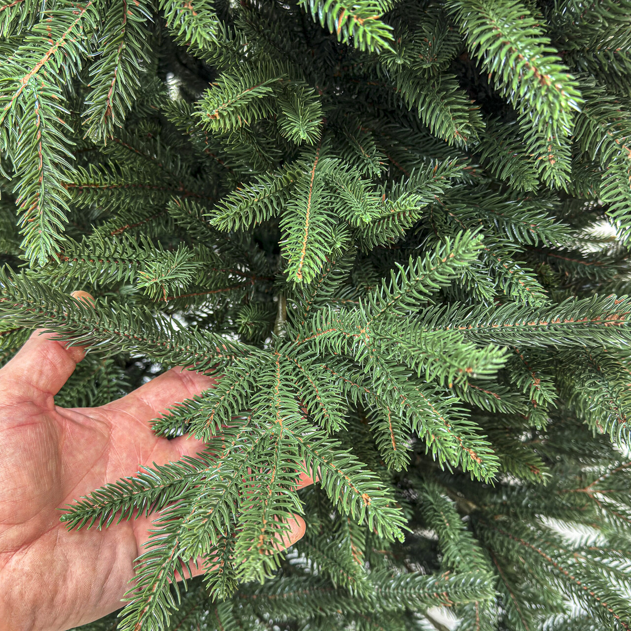 Brad artificial Christmas Deluxe by Sersimo, Alpine, verde, Integral 3D, 180 cm — imaginea 8