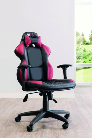 Scaun, Çilek, Bidrive Chair, 50x110x60cm, Multicolor