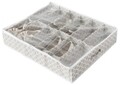 Organizator pentru incaltaminte Madison, Compactor, 12 compartimente, alb/maro