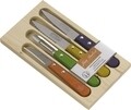 Set 4 cutite Jean Dubost, inox/lemn, multicolor
