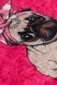 Covoras de baie, Chilai, Pink Pug DJT, 40x60 cm