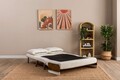 Canapea extensibilă cu 2 locuri, Futon, 859FTN2726, Metal , Alb
