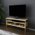 Comoda TV, Retricy, Merrion, 110x35x49.9 cm, PAL, Aur / Stejar