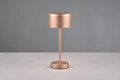 Lampa de masa Jeff, RL, 12.5x30 cm, 1.5W, 1x SMD, metal, bronz