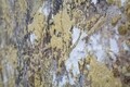 Tablou decorativ Super Tree -A, Mauro Ferretti, 180x60 cm, canvas pictat manual