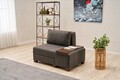 Fotoliu extensibil, Balcab Home, 825BLC4715, Lemn, Antracit