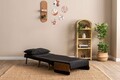 Canapea extensibilă cu 1 loc, Futon, 859FTN2335, Metal , Negru
