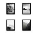 Set 4 tablouri decorative, Wave Set, PAL, Hartie, Multicolor