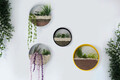 Decoratiune de perete, Cinquefoil, Metal, Fier, Galben / Negru / Alb