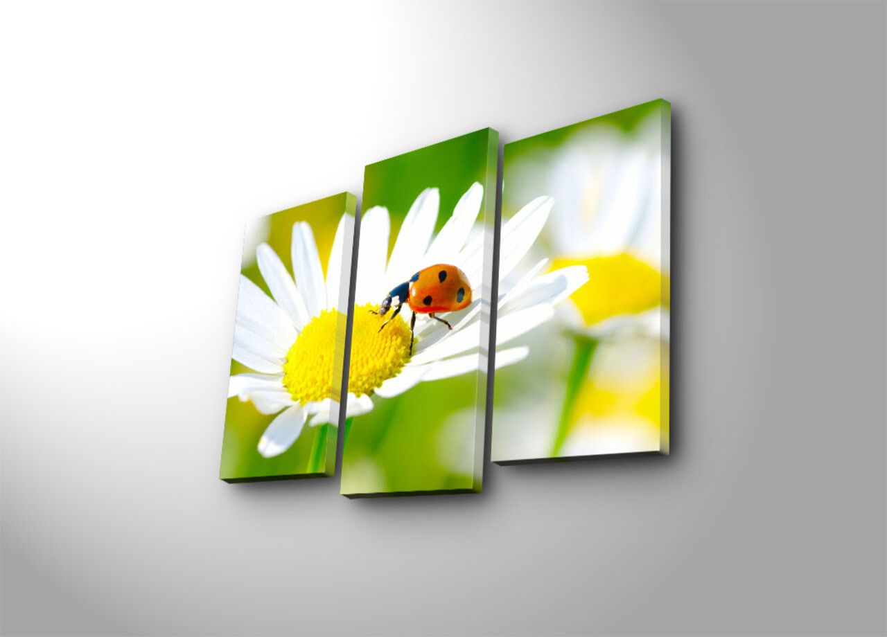 Set 3 tablouri decorative, 3PATK-77, 20 x 39 cm, 2 piese, Multicolor - view 2