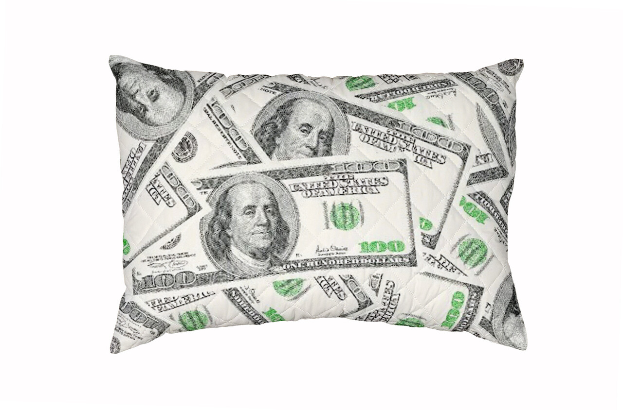 Perna Dollar Dream, microfibra matlasata Alcam, 50x70 cm - imagine 2