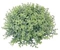 Planta artificiala, Verdemax, Verdecor, polipropilena