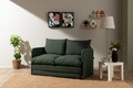 Canapea extensibilă cu 2 locuri, Futon, 859FTN2876, Metal , Verde