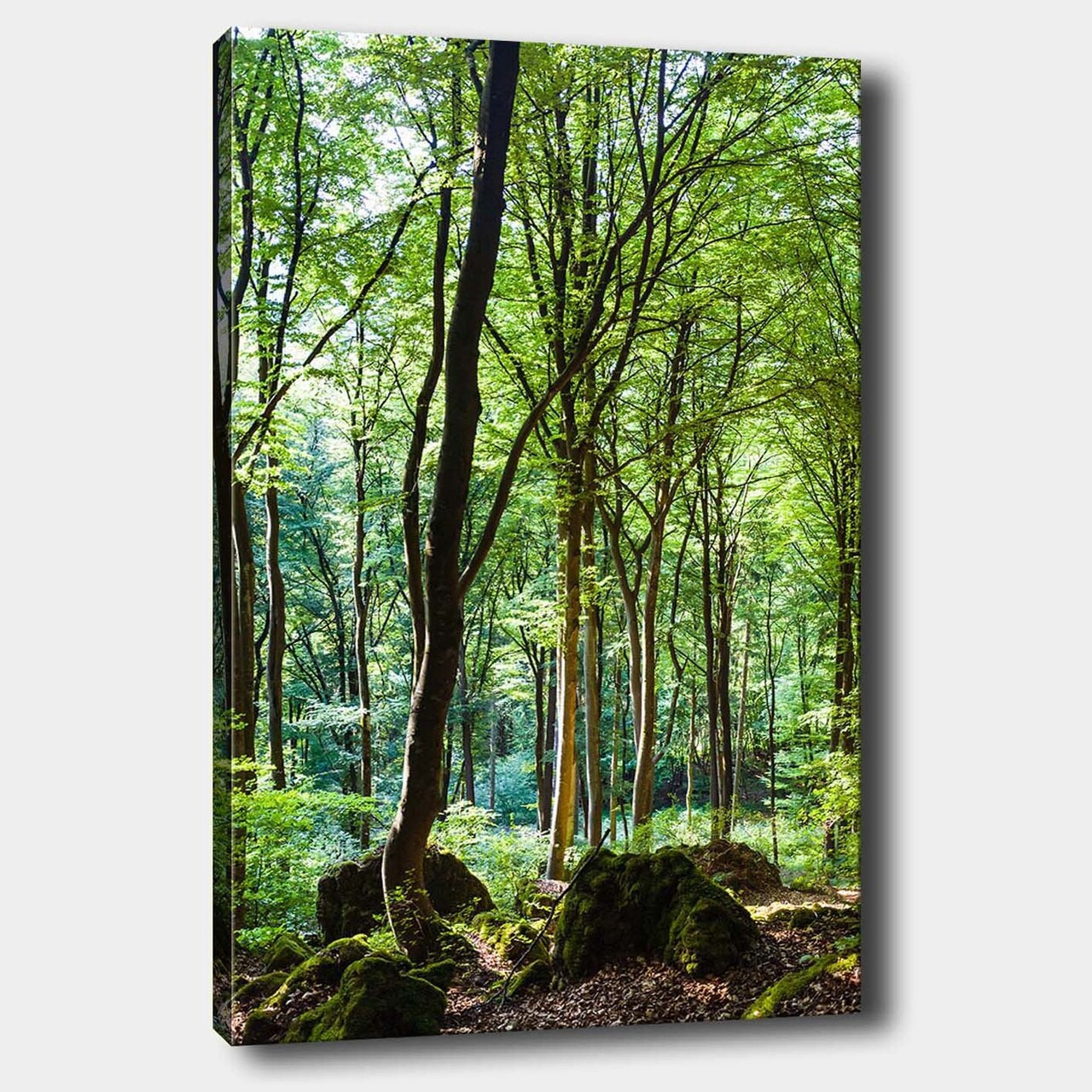 Tablou decorativ, 788516065_70100, Cadru: 100% LEMN (grosime: 3 cm), Multicolor - view 2