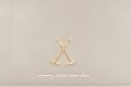 Rucsac Beverly Hills Polo Club, 707, piele ecologica, auriu