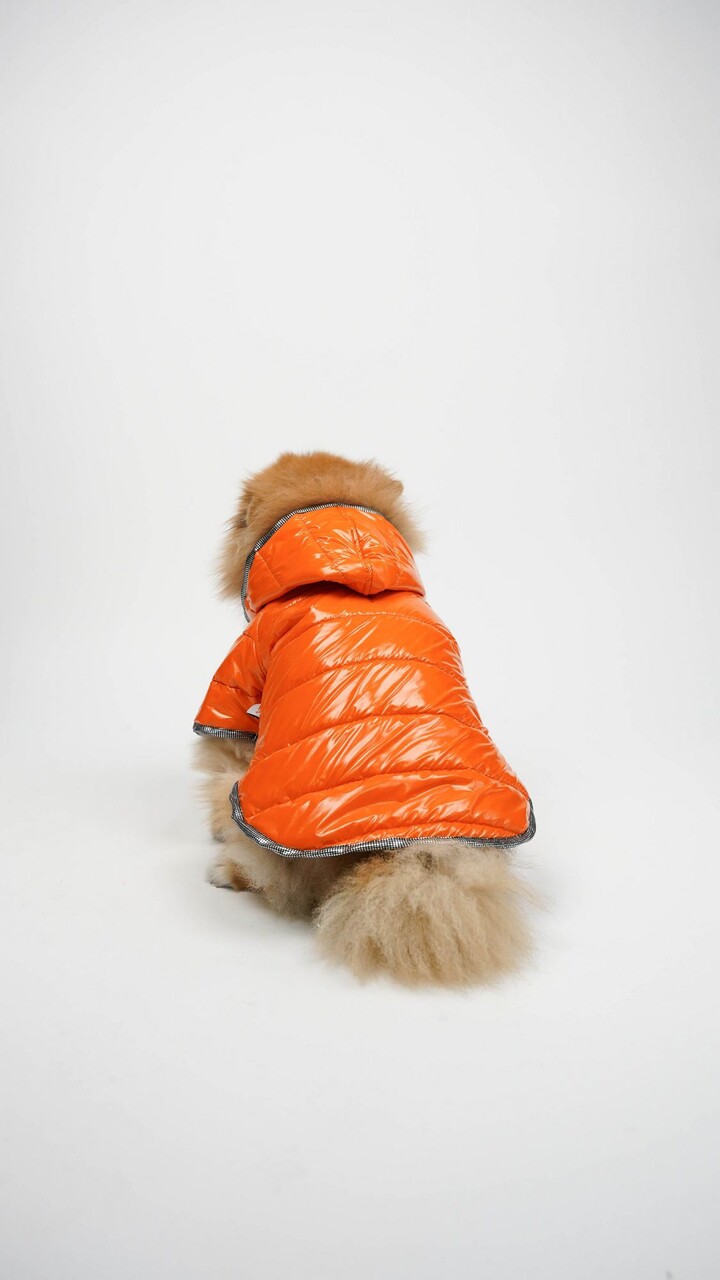 Hanorac pentru câini, Paws &amp; Whiskers, Moncler Coat, Portocaliu - view 2