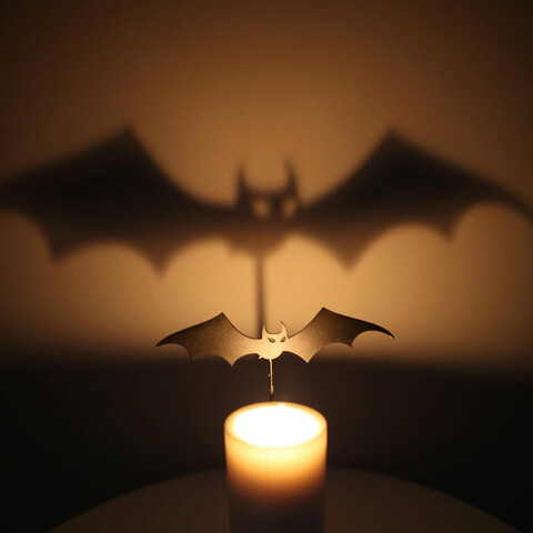 Decoratiune de perete, Candle Shadow 2, Metal, Dimensiune: 17 x 9 cm, Negru Enzo