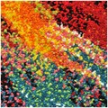 Covor Saida Geometric, Decorino, 133x190 cm, polipropilena, multicolor