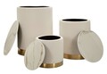 Set 3 cutii depozitare cu capac Display Shop, Mauro Ferretti, 60x80 cm, lemn de pin/MDF/metal, crem/auriu