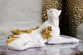 Figurina /sculptura decorativa  Leopard, Mauro Ferretti, 53x21.5x24 cm, polirasina, alb/auriu