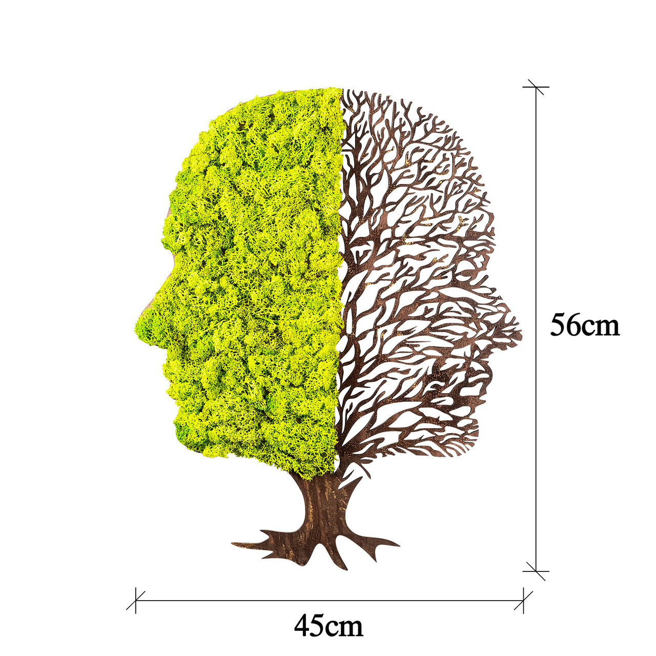 Decoratiune De Perete, Green And Dry, 100% MDF/MOSS (grosime: 6 Mm), Dimensiune: 45 X 1 X 56 Cm, Verde/Maro