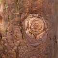 Ghiveci, Tree Trunk Birds, Creaciones Meng, 37x22x26 cm, polirasina