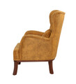 Fotoliu, Unique Design, 867UNQ1518, Lemn de carpen, Galben