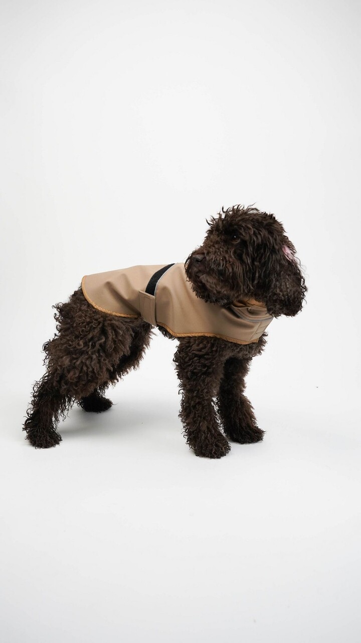 Hanorac pentru câini, Paws &amp; Whiskers, Shoft Shell Raincoat, Bej - view 3