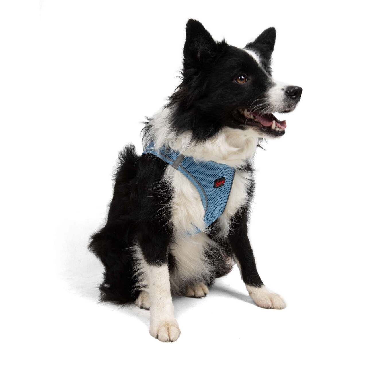 Ham pentru câini, Paws &amp; Whiskers, Air-Mesh, Poliester, Albastru - view 4