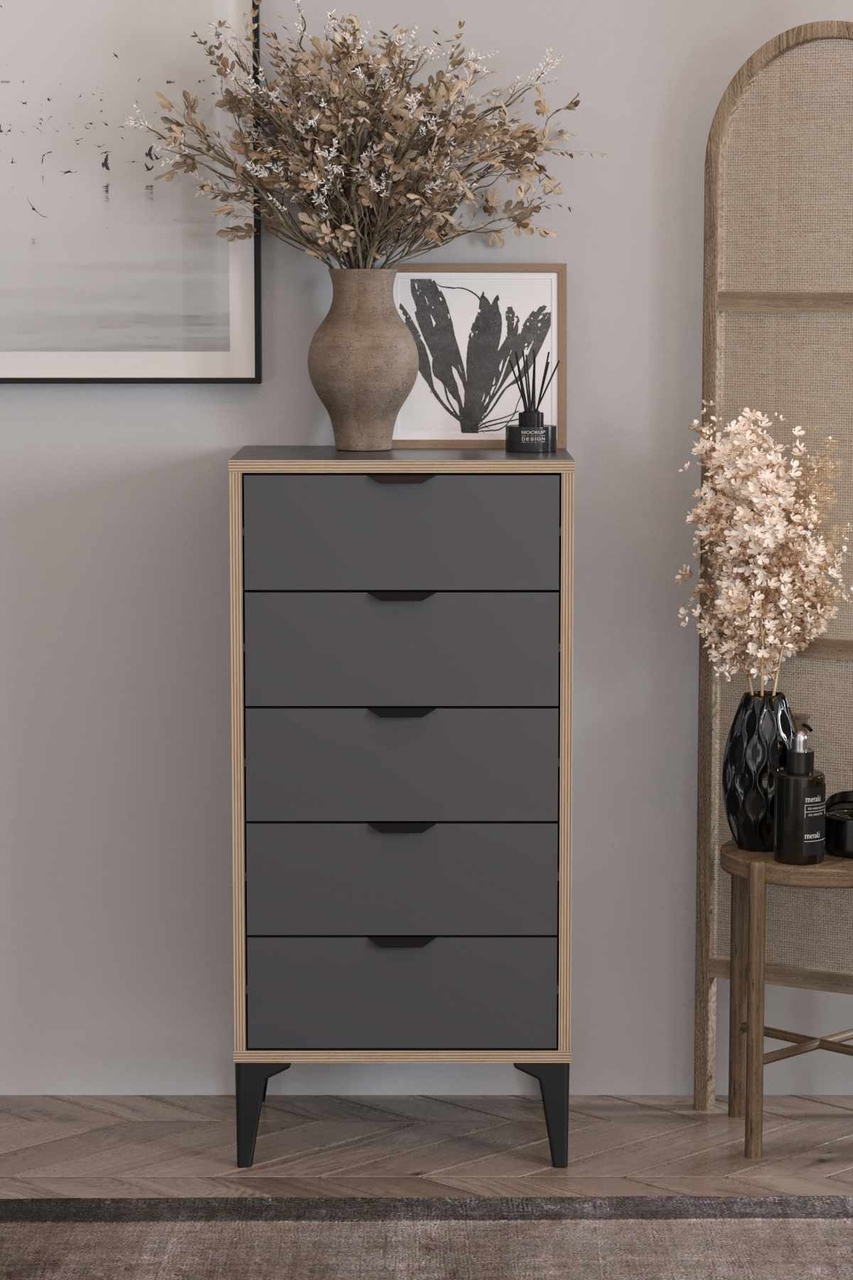 Dulap, Hanah Home, Arden, 50x105x40 cm, Antracit