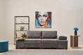 Canapea extensibila 3 locuri, Balcab Home, 825BLC4307, Lemn, Gri