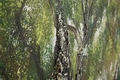 Tablou decorativ Olive Oil Painting -H, Mauro Ferretti, 120x80 cm, canvas/lemn de pin, multicolor
