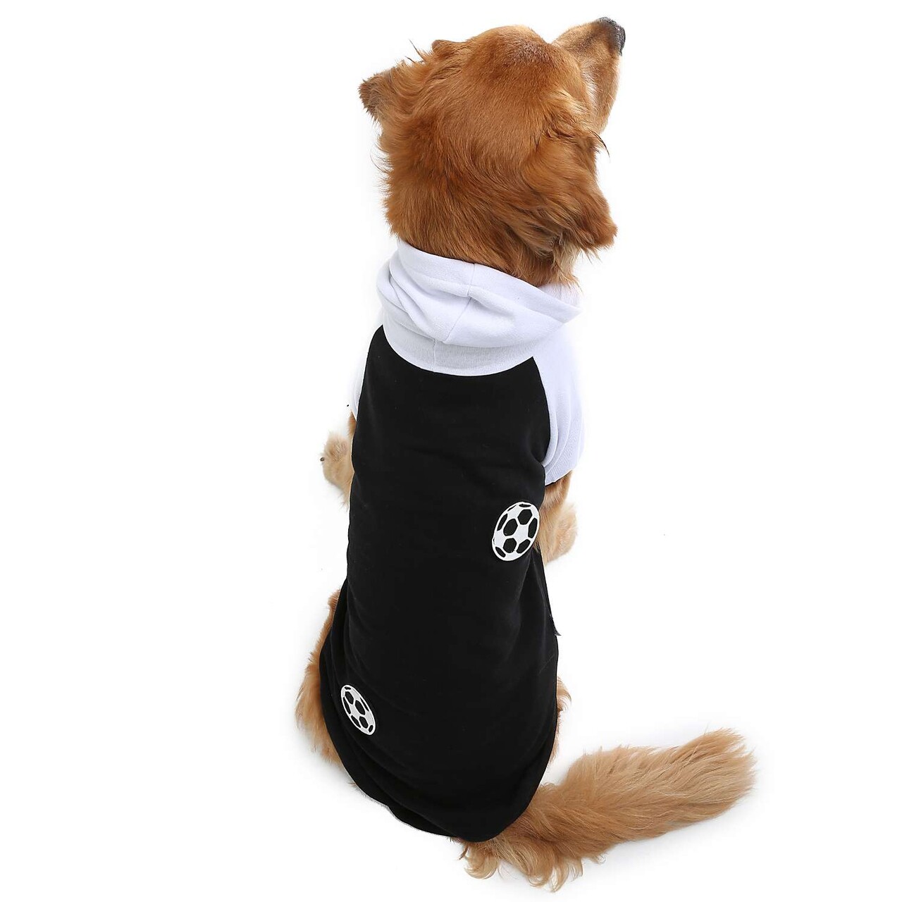 Hanorac pentru câini, Paws &amp; Whiskers, Blackballsweat, Negru - view 3