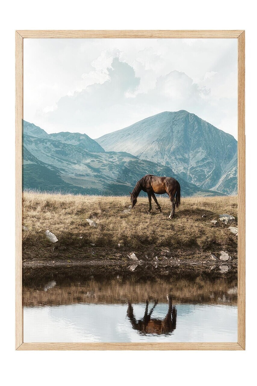 Tablou decorativ, 108446, Lemn masiv, Sticla PVC, Multicolor - view 2