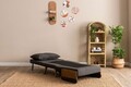 Canapea extensibilă cu 1 loc, Futon, 859FTN2338, Metal , Gri inchis