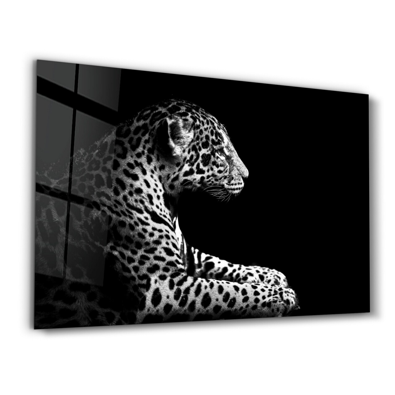 Tablou decorativ, OGLS-2014, Dimensiune: 35 x 55 cm, Multicolor - view 5
